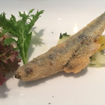 カンブーザ - 鰯のフリット