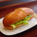 DOUTOR - 