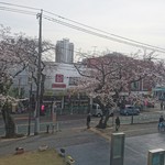 Takano Sukafe - これは  東京  の 桜です   四月
      