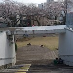 Takano Sukafe - ここからは  桜  を 上から眺められます