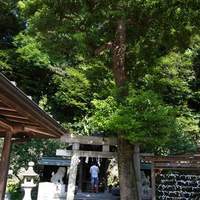 レストラン プランデルブ北鎌倉 - 
