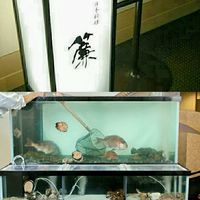 日本料理簾 - 活魚います