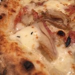 MILLE FIORI - ディアボラ