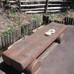 パイン - 一番奥のベンチ暖かい