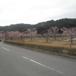 山本精肉店 - ⑤