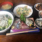 白菊 - 