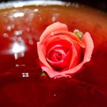 毛利 - プリンセスルビー