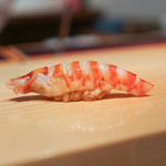 鮨 尚充 - 車エビ