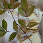 旬席 鈴江 - 筍・鯛ご飯