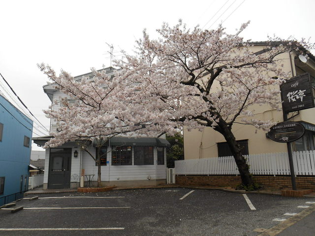 桜亭 香春口三萩野 カフェ 食べログ