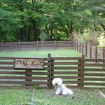 箱根ハイランドホテル ラウンジ - ドッグ・ラン入口