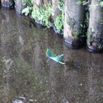 箱根ハイランドホテル ラウンジ - 小川に笹舟を浮かべて・・