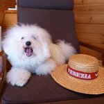 箱根ハイランドホテル ラウンジ - ２０１０年の夏〜♬