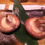 Matsukichi Shouten - 肉厚しいたけ焼き