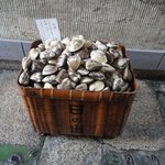 日の出 - ７－８年物の大ハマグリ（一万五千円コースだとこのサイズになります）