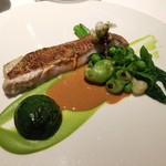 レストランエール - ノドグロ　桜　グリンピース　オマールと桜海老のソース