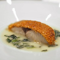 Takumi - サワラのクルミチーズ焼き　ほうれん草と生ハムのソース　黄ワイン風味