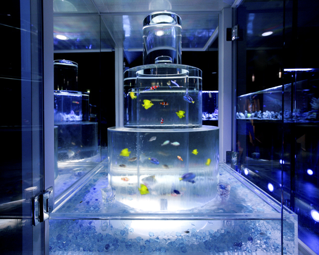 The Photo Of Interior Kaiteitoshiatoranthisu Tabelog