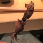 鮨 さいとう - 蛍烏賊（富山）の炙り