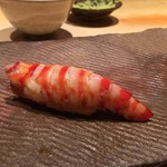 鮨 さいとう - 車海老（大分）