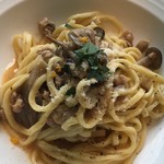 セストセンソ - キタッラ　鳥とキノコ