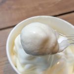 ウッドベリーズ - ギリシアヨーグルトトッピングのフローズンヨーグルトは、スッキリとしたフローズンヨーグルトに、コクと水分が程よく抜けてクリーミーなギリシアヨーグルトが重なって美味しさ倍増！