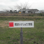 直売所 サン - 対岸にサン