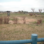 直売所 サン - 6月ごろが見頃