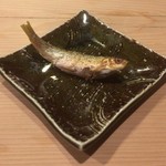 うを徳 - 琵琶湖 本諸子？