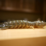 東麻布 天本 - しゃこ（松島産）