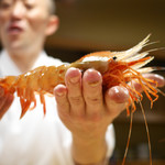 東麻布 天本 - 巨大牡丹海老