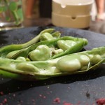 トリワイン ＰＩＫＯＳＨＨＨＵ - 空豆のロースト