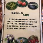 寺蔵カフェ - 自家製野菜の自慢ですね。
