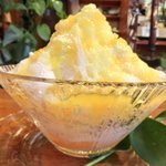 いちょうの木 - マンゴー 700円