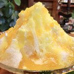 いちょうの木 - マンゴー 700円