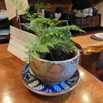 いちょうの木 - 店内の風景です