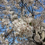 トラットリア グランボッカ - テラスからの眺め