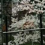 トラットリア グランボッカ - 店内からの眺め