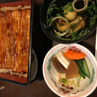 鰻 十和田 - 