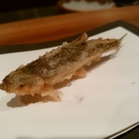 天ぷら 銀屋 - もろこ