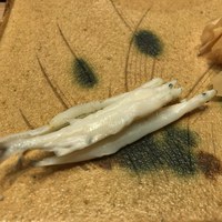 銀座 鮨 かねさか 本店 - 子持ち白魚