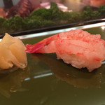 Sushi Hashi - 甘海老