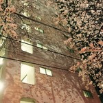 グリーン ビーン トゥ バー チョコレート - 目黒川沿いにて  ビルに映し出さた桜が柄みたいになって綺麗でした。