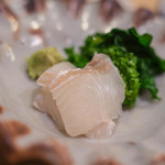 うを徳 - 城下鰈（しろしたがれひ）、=豊後（ぶんご）眞子鰈（まこがれひ）