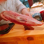 器楽亭 - 天然虎河豚　デカイ！