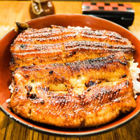 吉寅 - 
