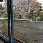 そば舎 あお - 桜