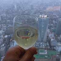 サンシャイン クルーズ・クルーズ - 
