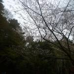 ヴィラージュ - 