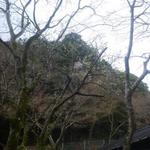 ヴィラージュ - 